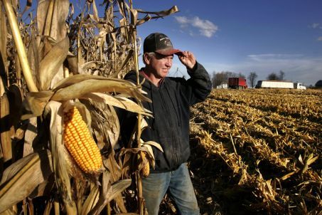 Corn-farmer.jpg